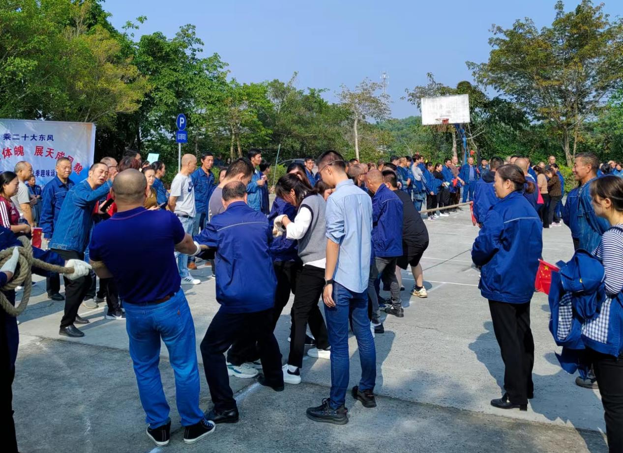 031667449989169234.png e509964de3db9695a0472c2db9d7f8c.png